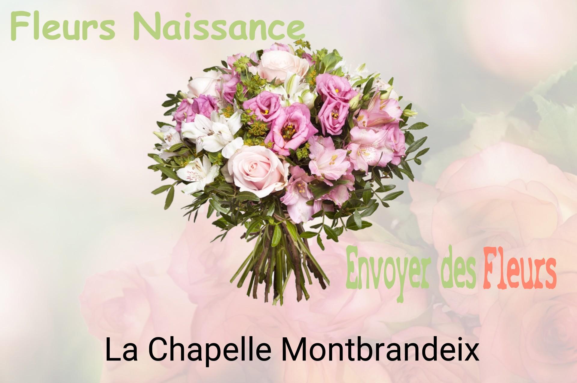 Bouquet de fleurs de naissance livré à La Chapelle-Montbrandeix